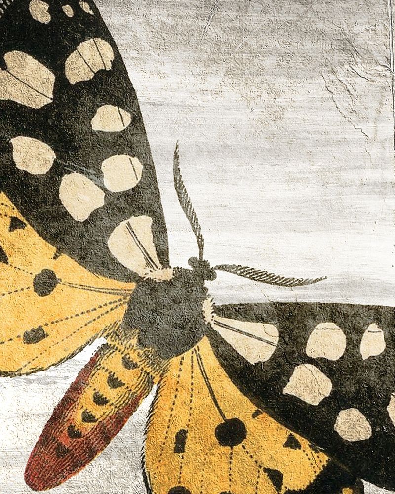 Vintage Butterfly 1