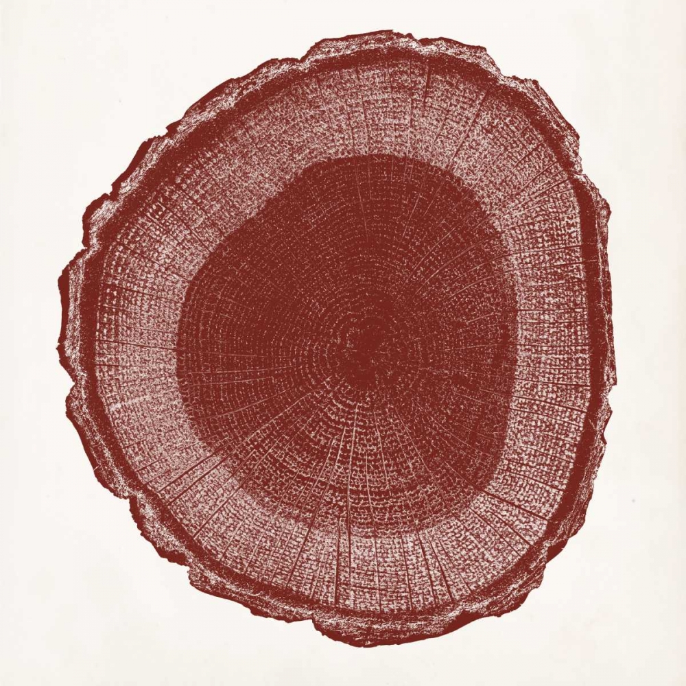 Tree Ring I