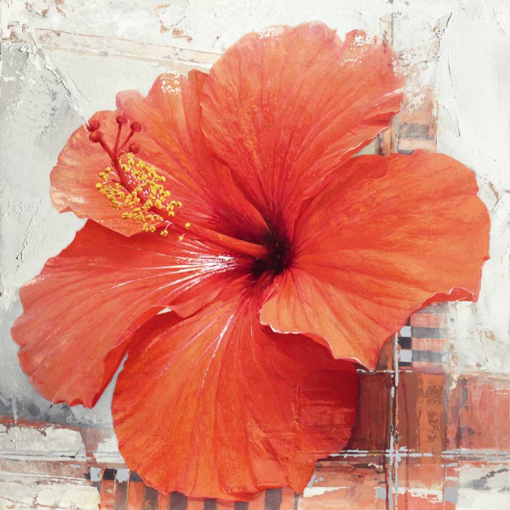Hibiscus I