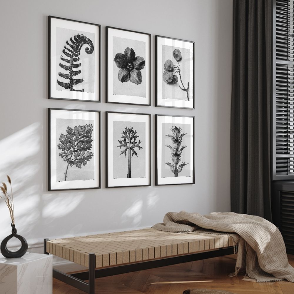 Monochrome Botanical