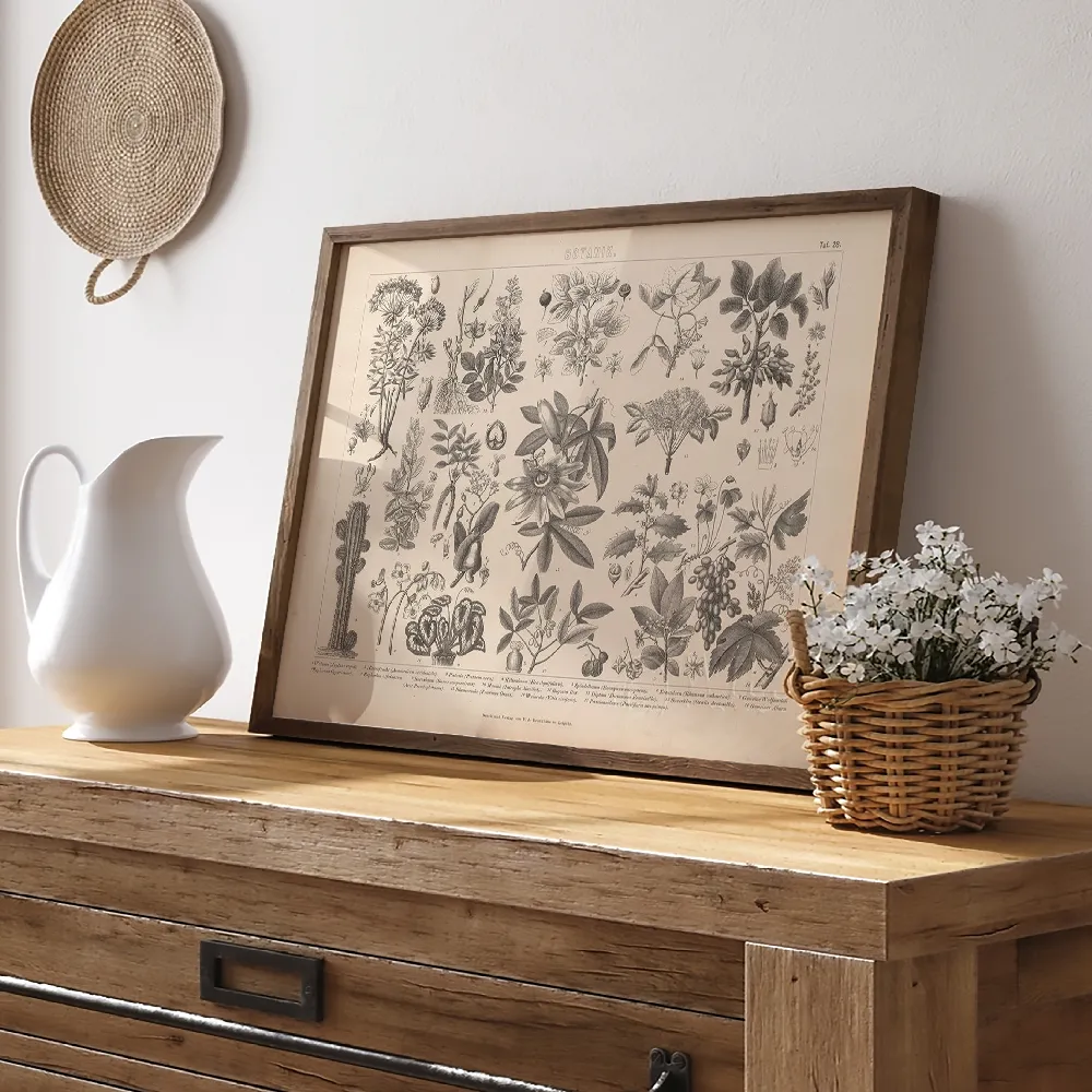 Botanik Vintage